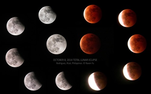 Montage of 12 photos showing the various stages of last night's total lunar eclipse